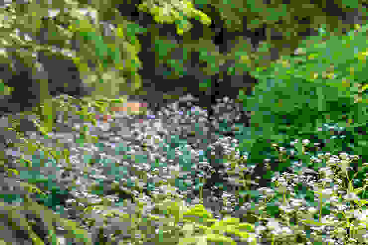 Игра контрастов. Миллениум Парк 2018 г. ARCADIA GARDEN Landscape Studio
