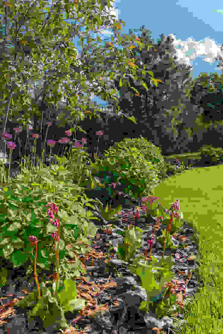 Игра контрастов. Миллениум Парк 2018 г. ARCADIA GARDEN Landscape Studio