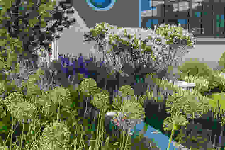 Игра контрастов. Миллениум Парк 2018 г. ARCADIA GARDEN Landscape Studio