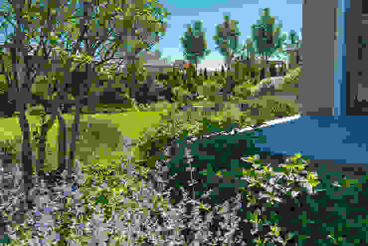 Игра контрастов. Миллениум Парк 2018 г. ARCADIA GARDEN Landscape Studio