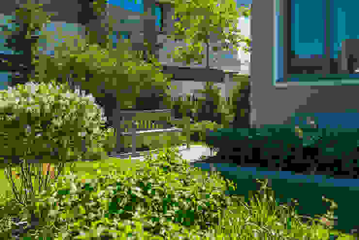 Игра контрастов. Миллениум Парк 2018 г. ARCADIA GARDEN Landscape Studio