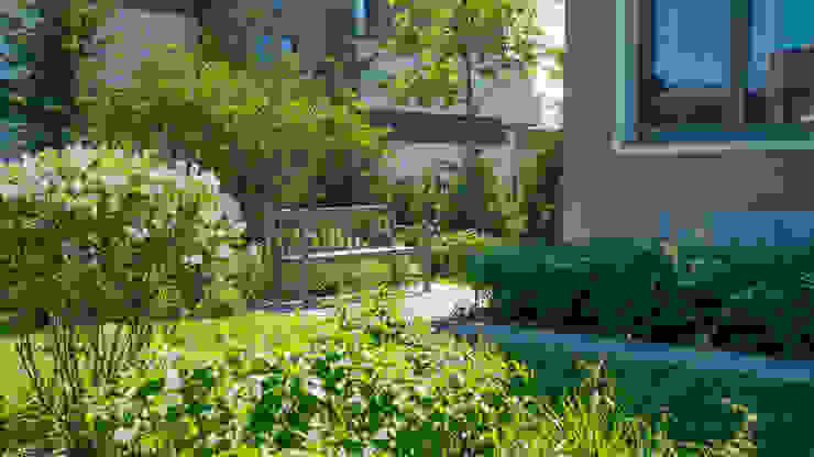 Игра контрастов. Миллениум Парк 2018 г. ARCADIA GARDEN Landscape Studio