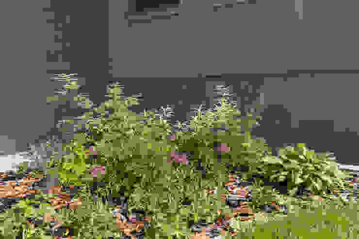 Игра контрастов. Миллениум Парк 2018 г. ARCADIA GARDEN Landscape Studio