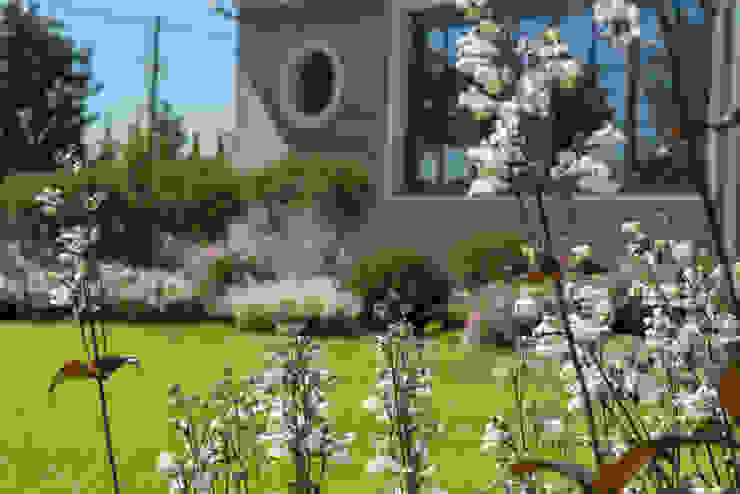 Игра контрастов. Миллениум Парк 2018 г. ARCADIA GARDEN Landscape Studio