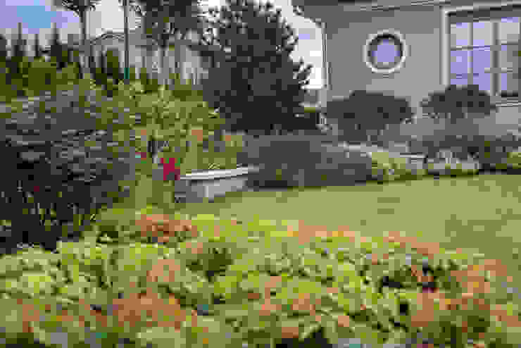 Игра контрастов. Миллениум Парк 2018 г. ARCADIA GARDEN Landscape Studio