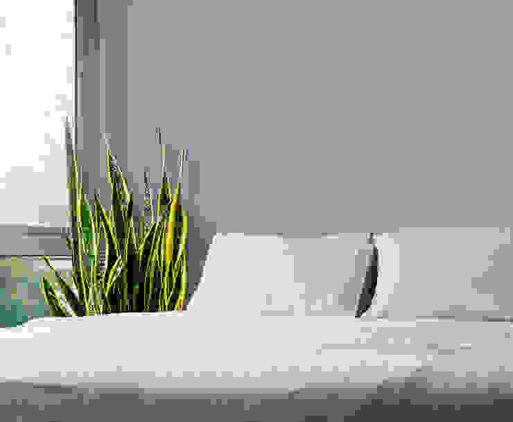 Snake Plant Interioforest Plantscaping Solutions Tropical style bedroom Furniture,Property,Comfort,Plant,Rectangle,Textile,Wood,Pillow,Shade,Interior design