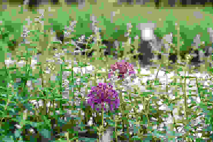 Английская неоклассика в КП Парквилл. 2019 г. ARCADIA GARDEN Landscape Studio