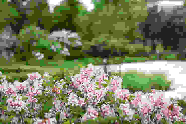 Английская неоклассика в КП Парквилл. 2019 г. ARCADIA GARDEN Landscape Studio