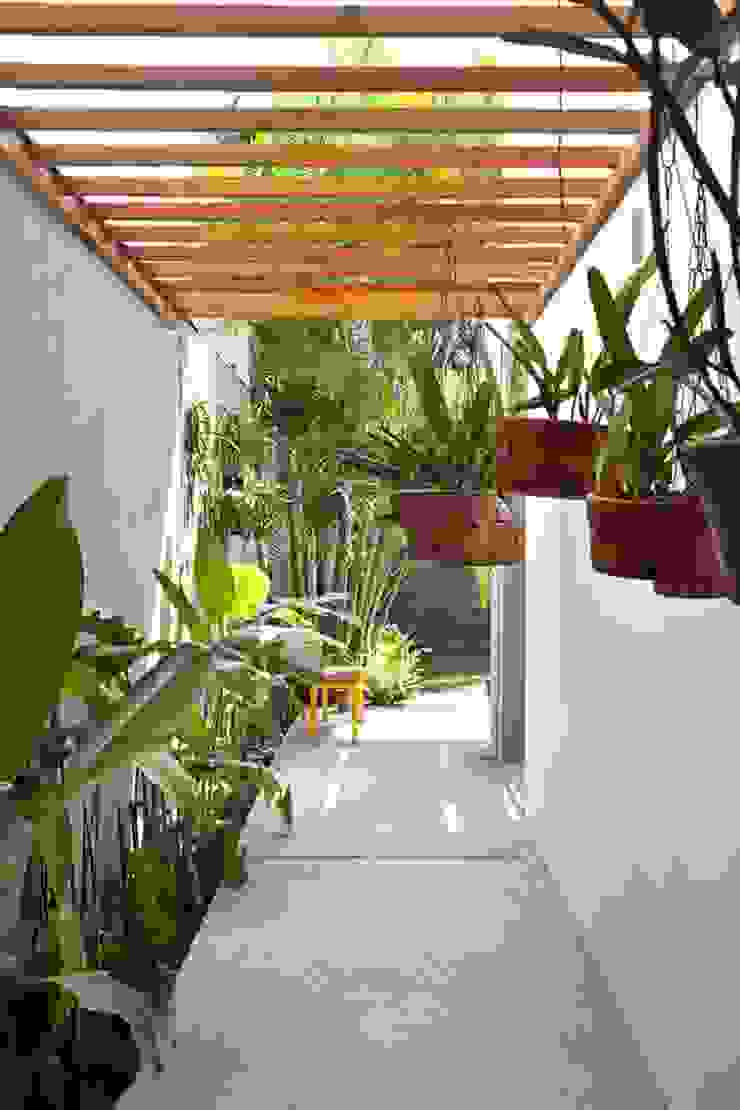 Tung Nguyen, THANH TUNG - HOMIFY THANH TUNG - HOMIFY Vườn phong cách hiện đại