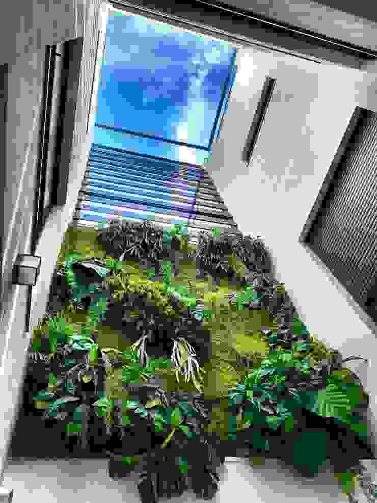 Jardín Vertical Artificial Exterior Moss Deco Casas adosadas Plástico Verde Jardínes verticales, decoración, plantas artificiales, biofilia, chalet adosados, arquitectura, interiorismo, exteriores, espacios verdes