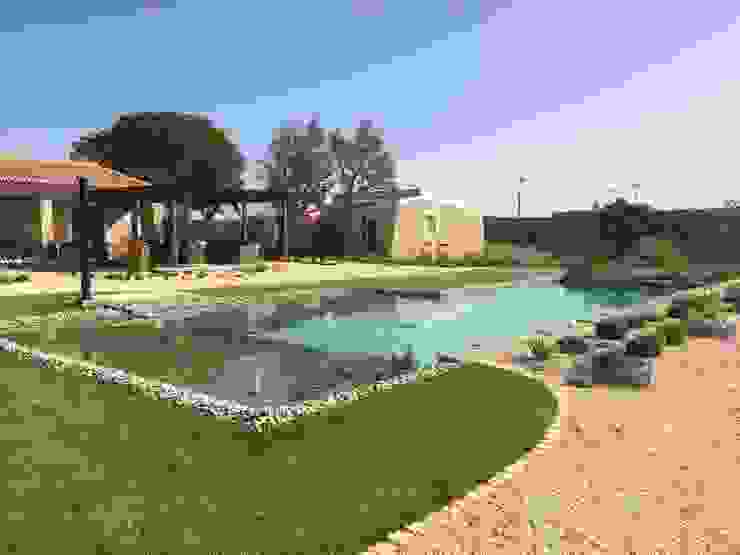 Piscina Biologica De Aljezur Homify