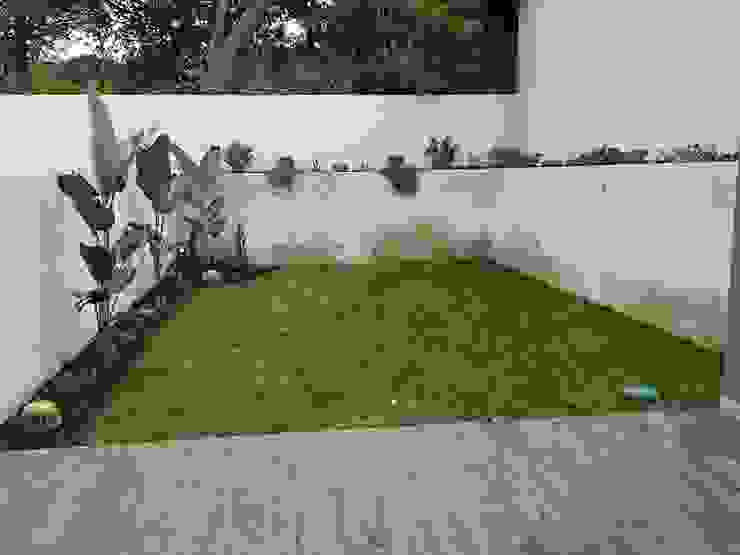 Jardim de suculentas em Mindelo, Viveiros Florido Plantas Viveiros Florido Plantas Jardins rústicos Plantar,Propriedade,Terreno,Madeira,Grama,Retângulo,Superfície da estrada,Árvore,Arbusto,Esgrima em casa
