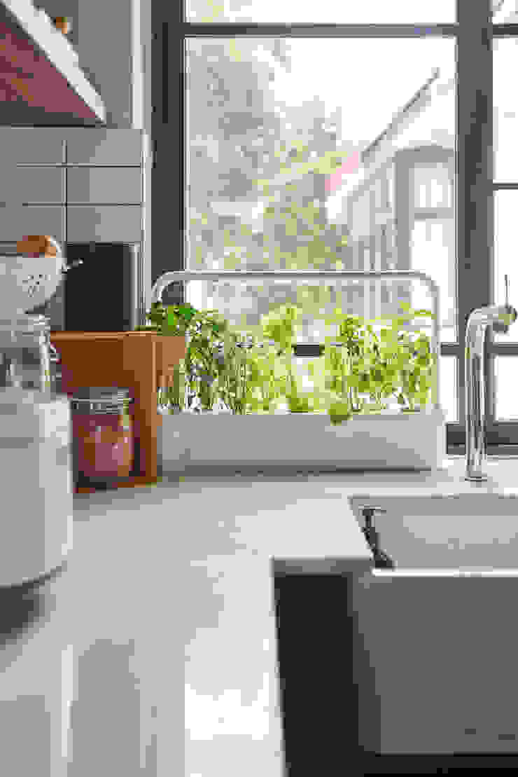 Moh Guan Eightytwo Modern kitchen