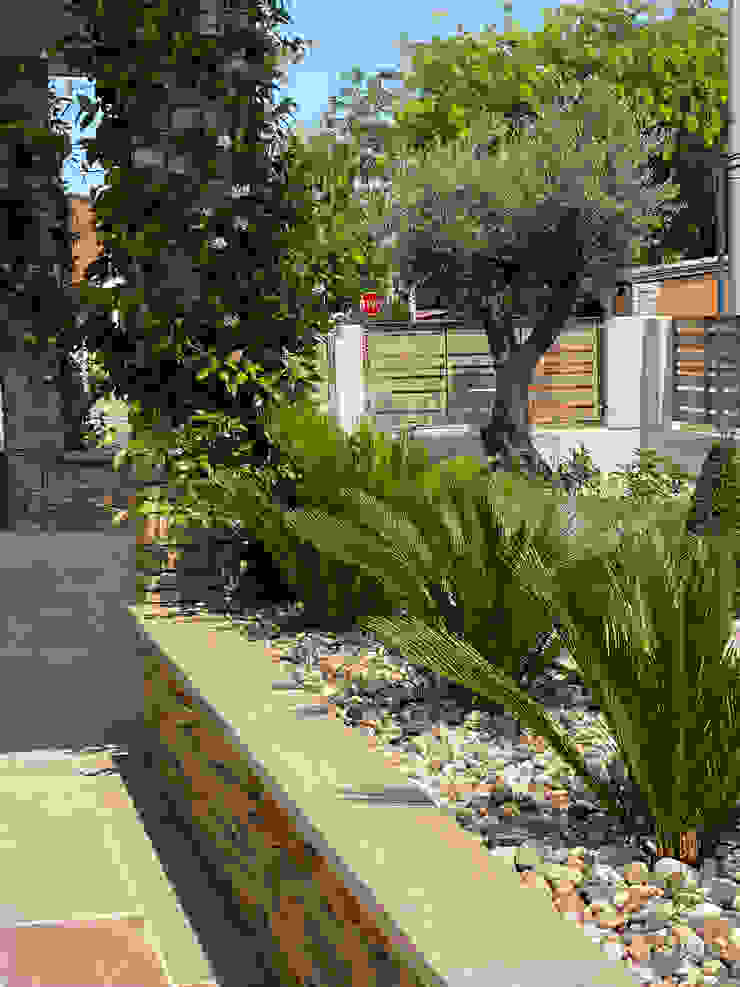 Un giardino esotico _ Cycas Camilla Poggi | Architetto Paesaggista Giardino in stile mediterraneo ars topiaria, bossi, mediterranean style, stile mediterraneo, palme, piante sempreverdi, palme, cycas