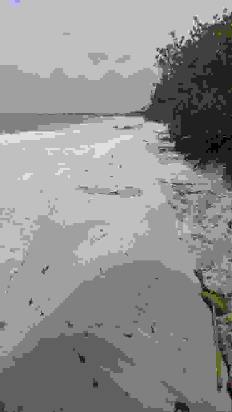 Instalacion De Geotubos Y Recuperacion De Playa Homify