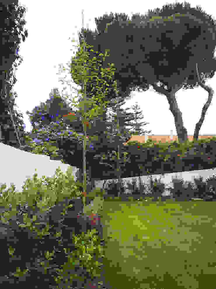 Jardim na Parede, Maria João Próspero, arquitectura paisagista Maria João Próspero, arquitectura paisagista Jardins mediterrânicos