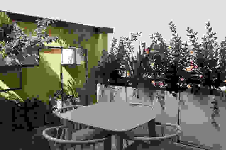 Armonia gentile MICOL DALL'OGLIO GARDEN DESIGN Balcone, Veranda & Terrazza in stile moderno garden design, garden designer, paesaggista, terrazzo, progettazione del verde, paesaggista milano, progettazione terrazzo