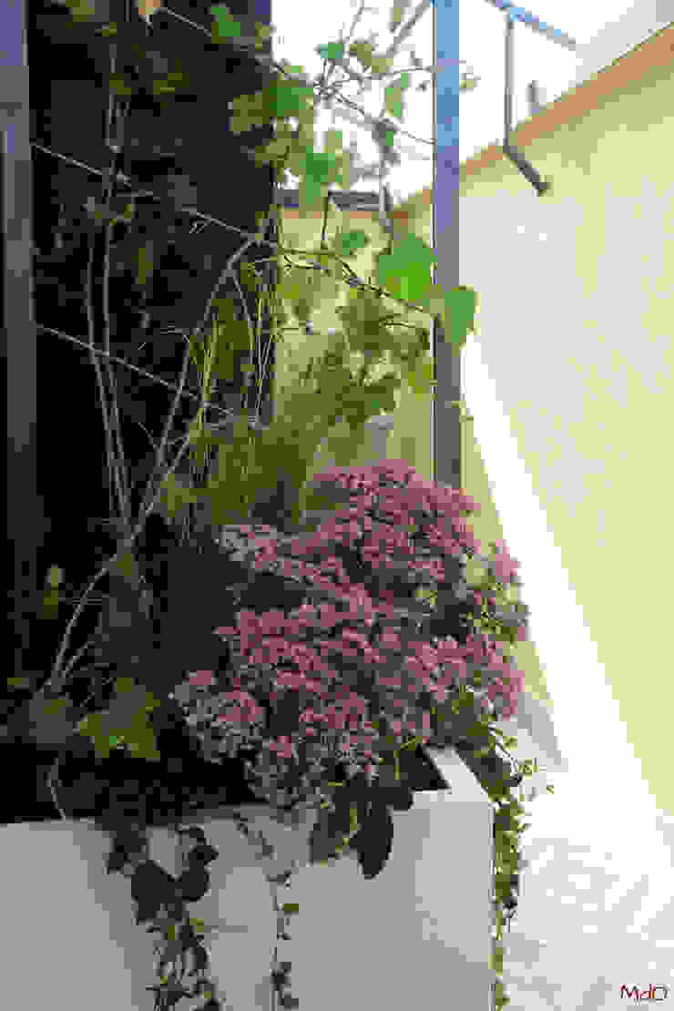 Gioioso insieme MICOL DALL'OGLIO GARDEN DESIGN Balcone, Veranda & Terrazza in stile moderno garden design, garden designer, paesaggista, terrazzo, progettazione del verde, paesaggista milano, progettazione terrazzo