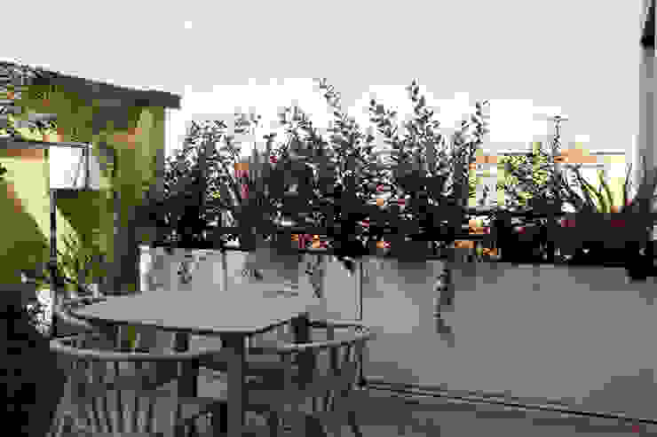 Ambiente sereno MICOL DALL'OGLIO GARDEN DESIGN Balcone, Veranda & Terrazza in stile moderno garden design, garden designer, paesaggista, terrazzo, progettazione del verde, paesaggista milano, progettazione terrazzo