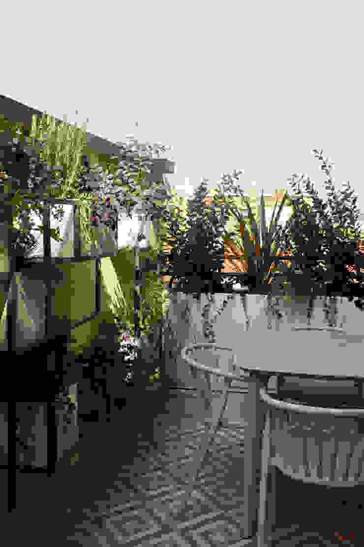 Natura armoniosa MICOL DALL'OGLIO GARDEN DESIGN Balcone, Veranda & Terrazza in stile moderno garden design, garden designer, paesaggista, terrazzo, progettazione del verde, paesaggista milano, progettazione terrazzo