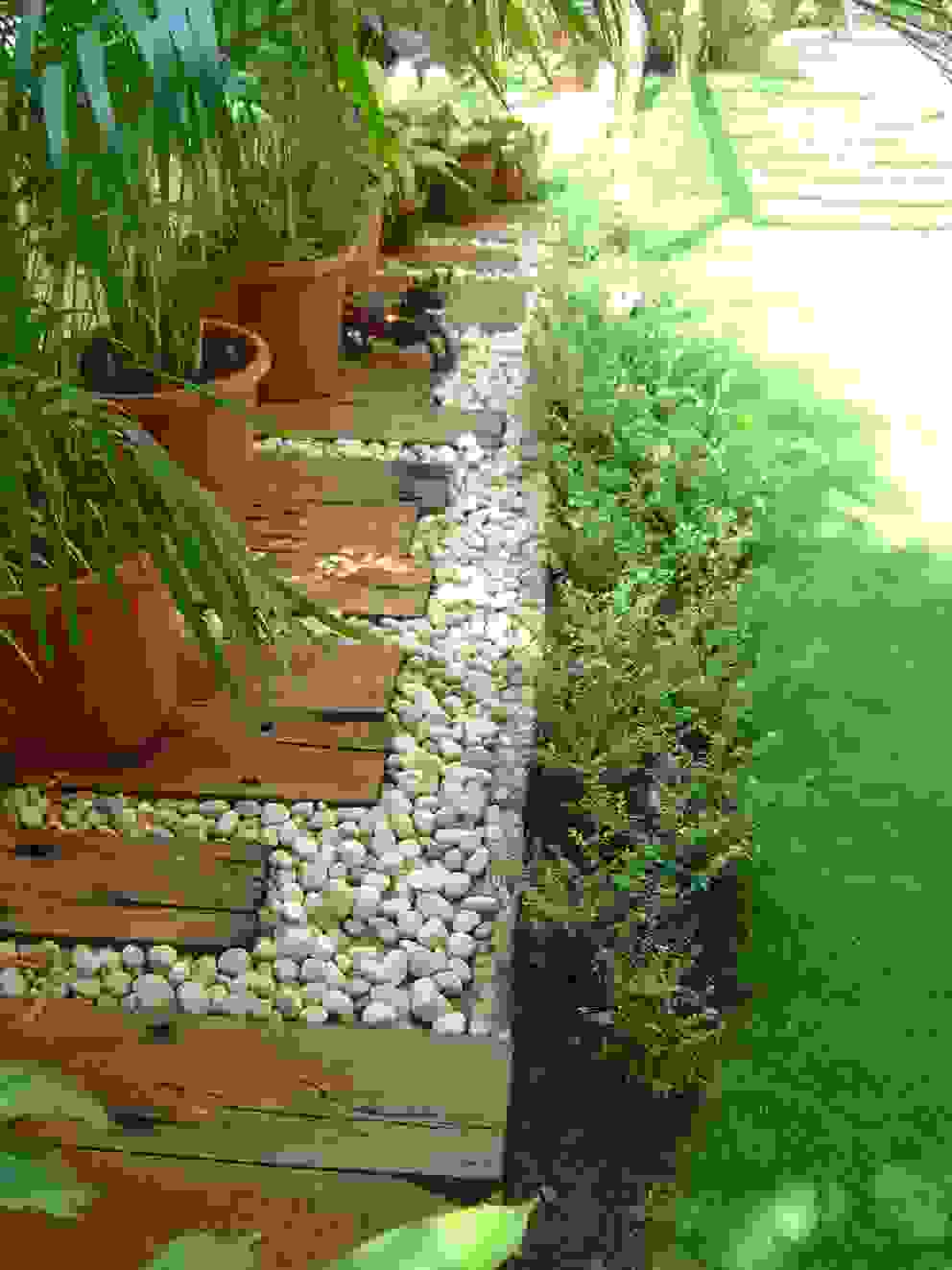 Potted plants Land Design landscape architects Tropical style garden