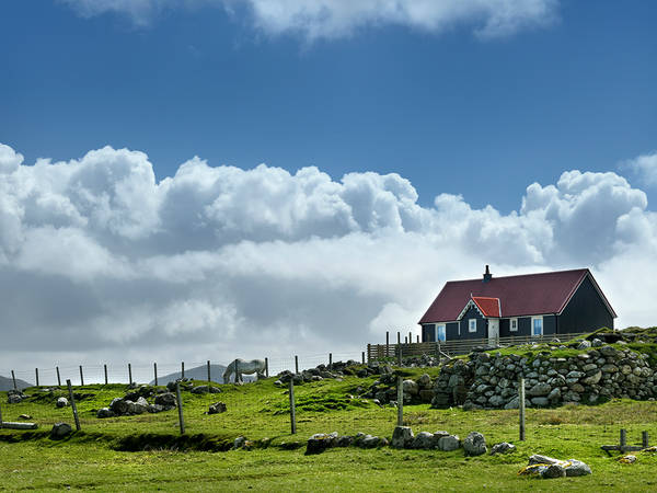The wee house company