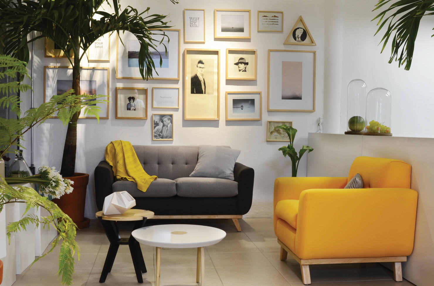 8 tricks to decorate your tiny apartment with plants