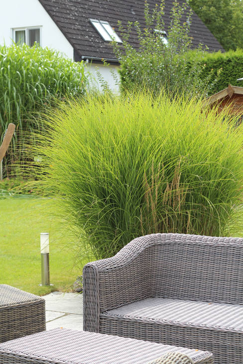 Wie kann ich einen kleinen Garten hübsch gestalten?