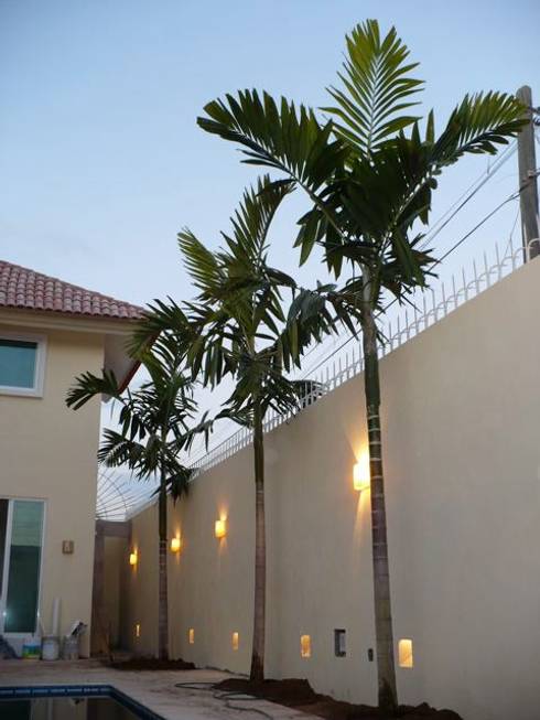 Jardines con palmeras: ideas y ejemplos