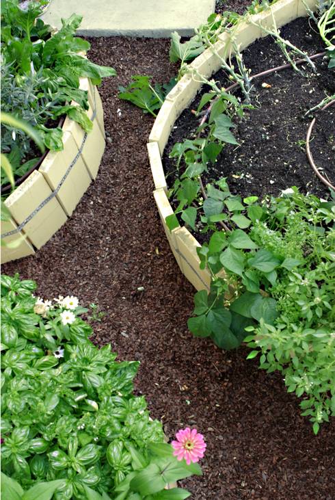 Gartenweg Mit Rindenmulch
