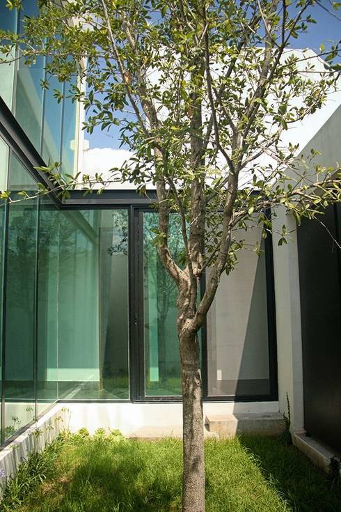 Moderna y mexicana: ¡una casa fantástica!