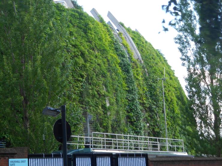 Green walls by Viridian Landscape Studio | homify