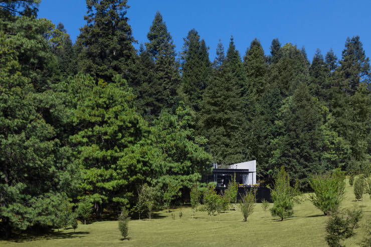 grupoarquitectura:  tarz Çalışma Odası