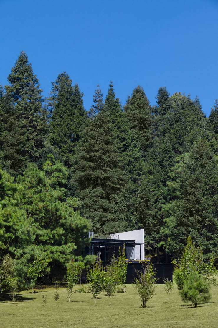 grupoarquitectura:  tarz Çalışma Odası