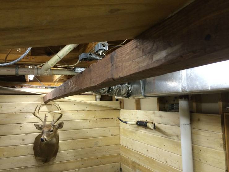 Come eliminare i tarli da pavimenti e mobili in legno Come eliminare i tarli da un mobile