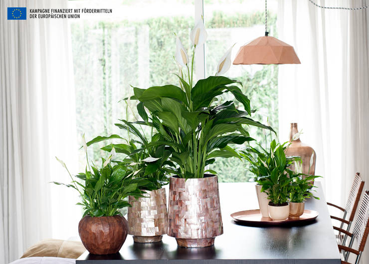 Interior landscaping by Pflanzenfreude.de