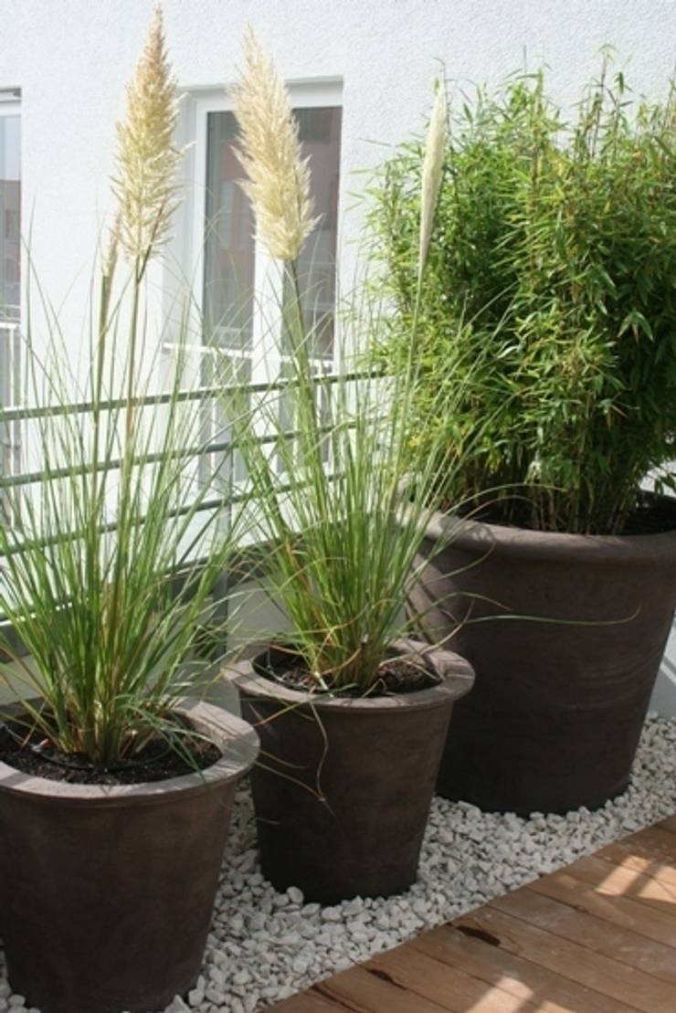 Dachterrassengestaltung München-Schwabing von Blumen & Gärten | homify Dachterrassengestaltung München-Schwabing von Blumen & Gärten | homify