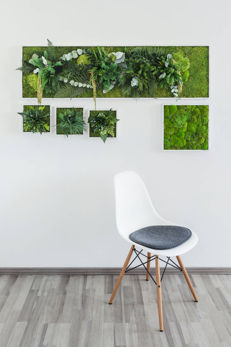 Vorstellung Unserer Produkte Pflanzen Und Moosbilder Von Elbild Kollektion Stylegreen Im Style Ambiente Raumbegrünung Von Flowerart Gmbh
