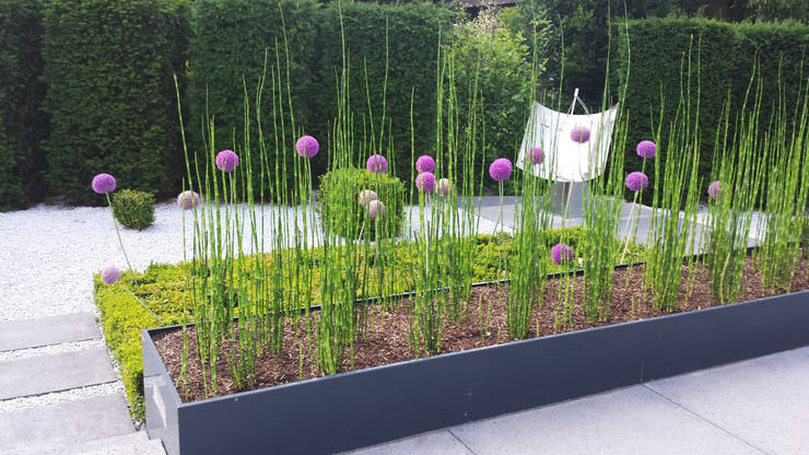  Vườn by SUD[D]EN Gärten und Landschaften