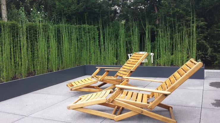  Vườn by SUD[D]EN Gärten und Landschaften