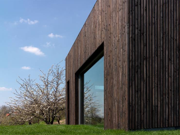 Terrasse de style  par WIZJA