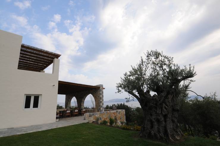 Casas de estilo  por CARLO CHIAPPANI  interior designer