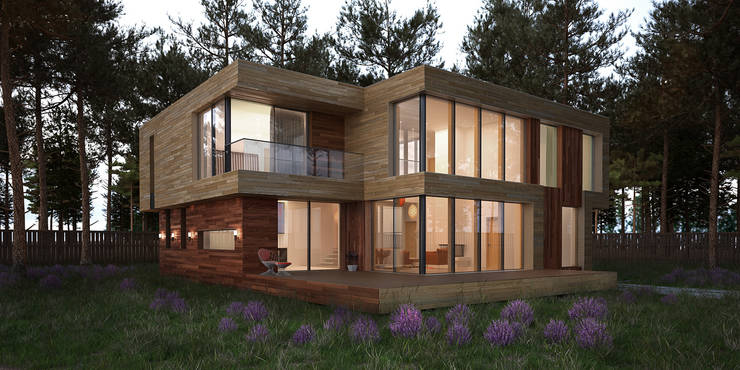  منازل تنفيذ ALEXANDER ZHIDKOV ARCHITECT