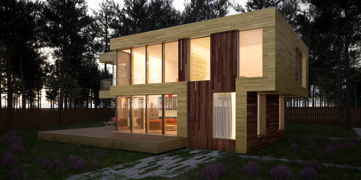  منازل تنفيذ ALEXANDER ZHIDKOV ARCHITECT