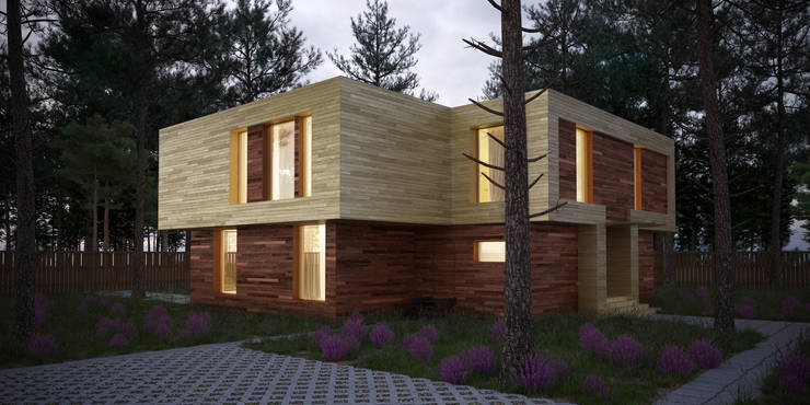  منازل تنفيذ ALEXANDER ZHIDKOV ARCHITECT