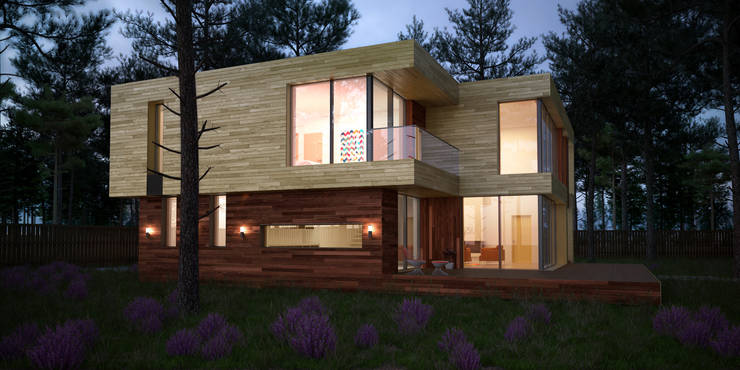  منازل تنفيذ ALEXANDER ZHIDKOV ARCHITECT