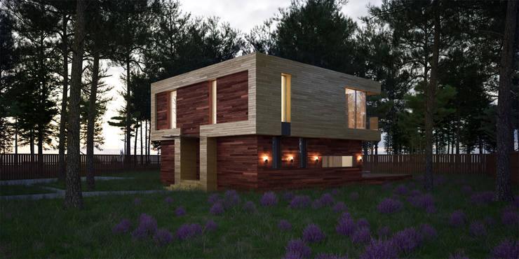  منازل تنفيذ ALEXANDER ZHIDKOV ARCHITECT