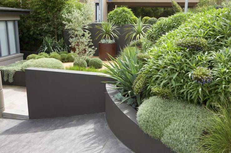 Semi Di Muschio Rari - 400 Pezzi, Resistenti Per Giardino Interno, Balcone E Aiuole