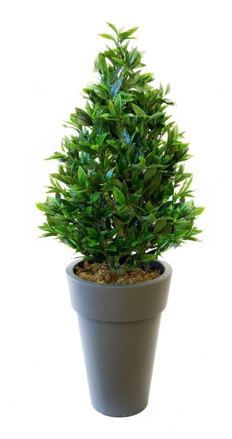 Artificial Topiary by Evergreen Trees & Shrubs homify