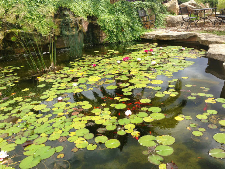 12 Inspirasi Taman Kecil untuk Dicontek